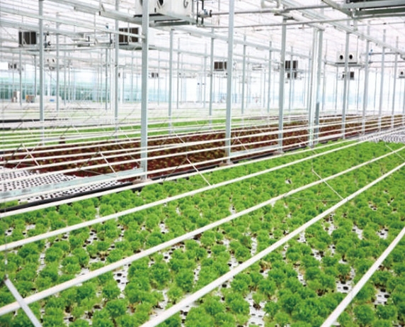 好色先生下载观看大棚種植空氣源熱泵方案：科技賦能農業，助力綠色高效種植